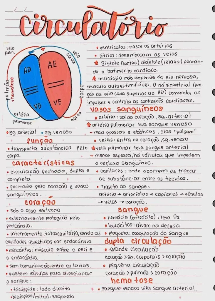 Amostra de resumo 2