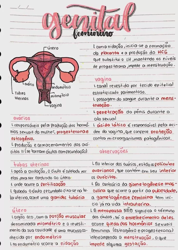 Amostra de resumo 1